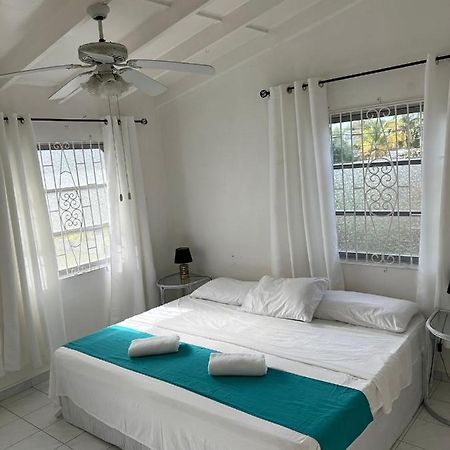 Home2Home Guesthouse 크리스트 처치 외부 사진