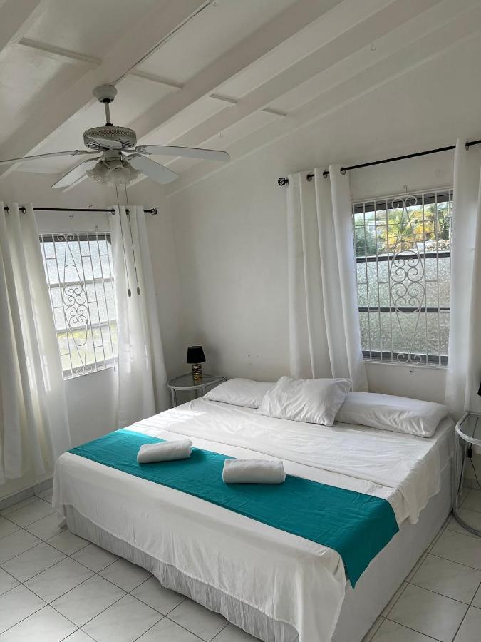 Home2Home Guesthouse 크리스트 처치 외부 사진
